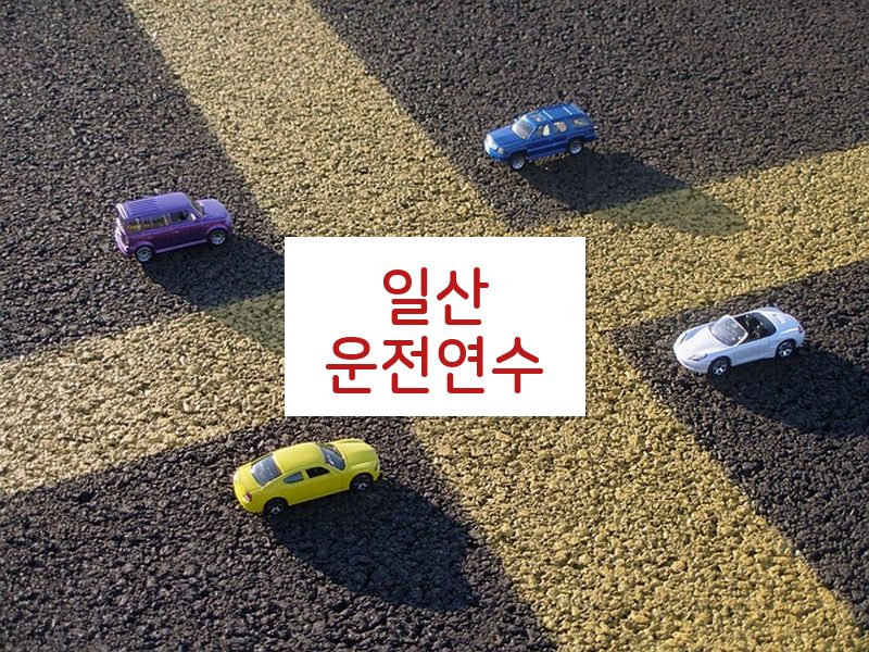일산운전연수 후기