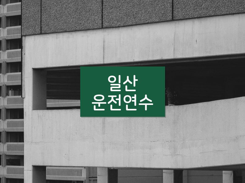 일산운전연수 후기