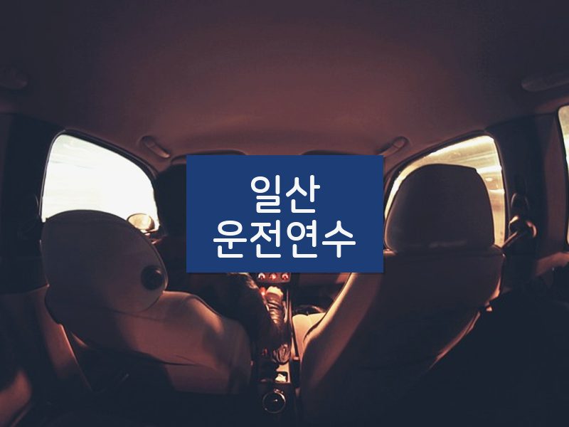일산운전연수 후기