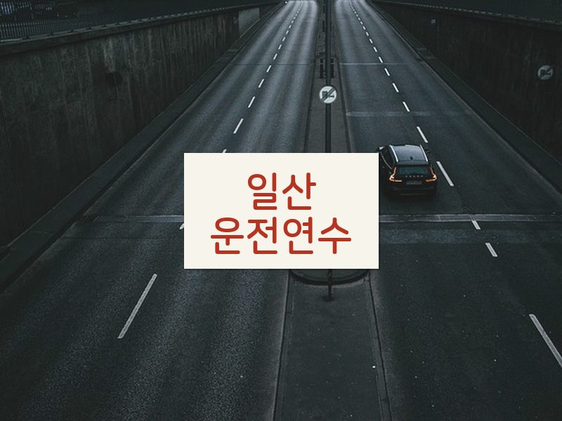 일산운전연수 후기