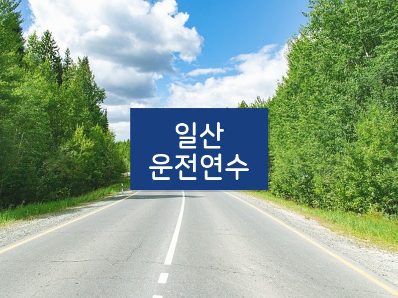 일산운전연수 후기
