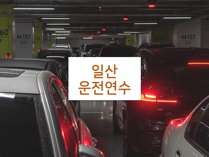일산운전연수 후기