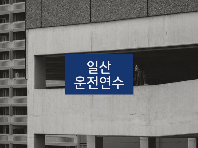 일산운전연수 후기
