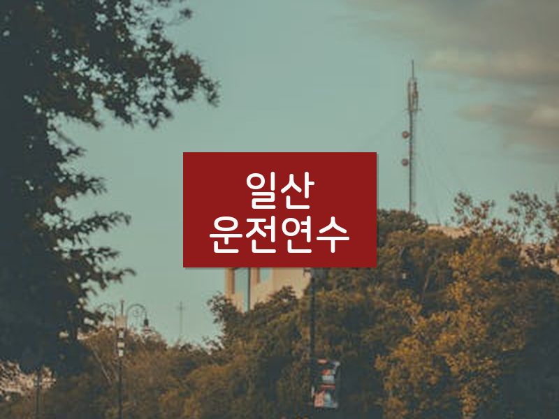 일산운전연수 후기