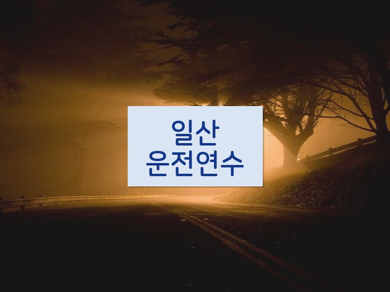 일산운전연수 후기