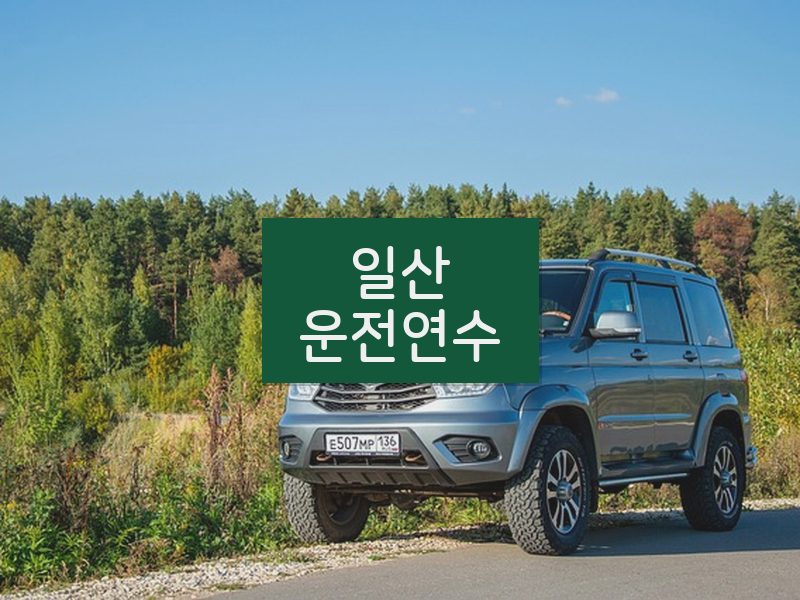 일산운전연수 후기