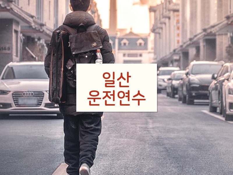 일산운전연수 후기