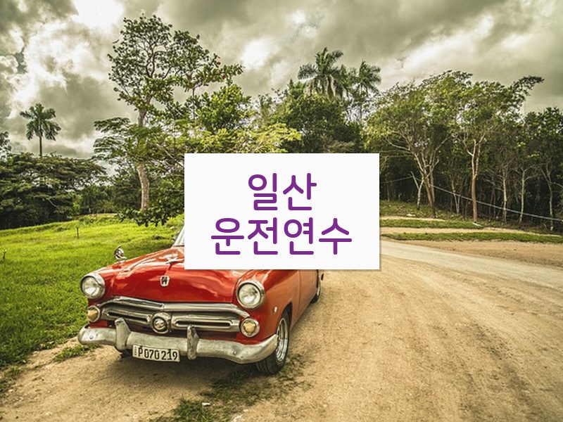 일산운전연수 후기