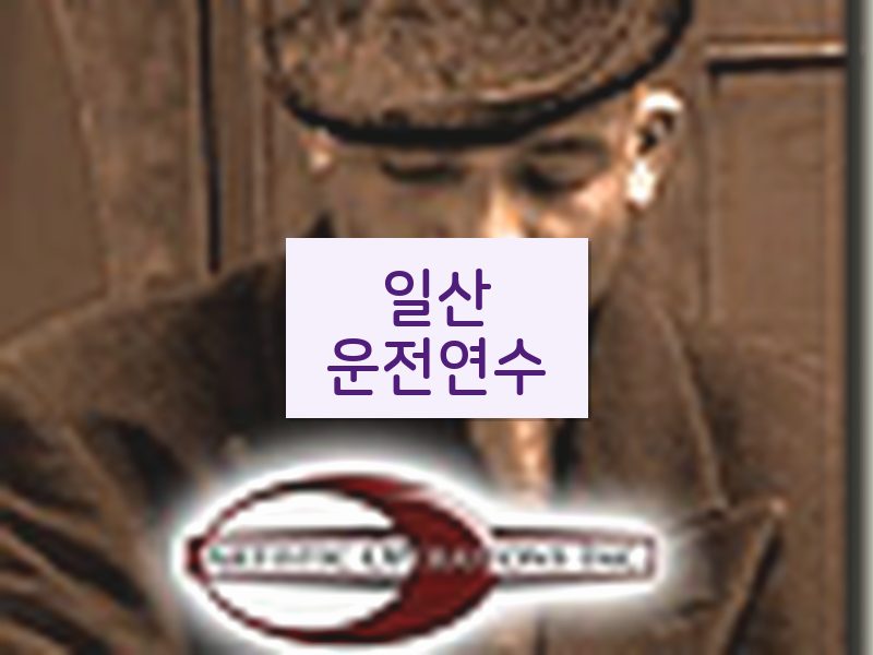 일산운전연수 후기