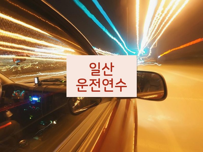 일산운전연수 후기