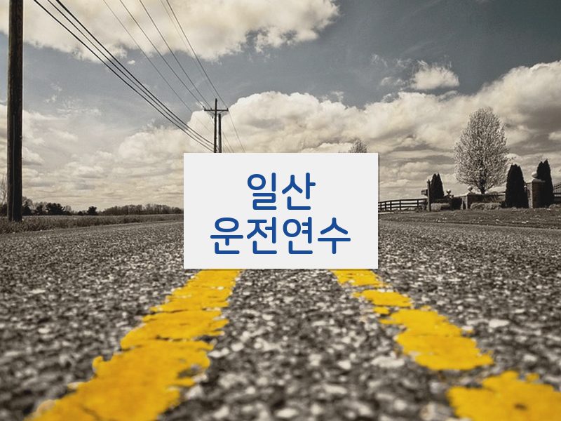 일산운전연수 후기