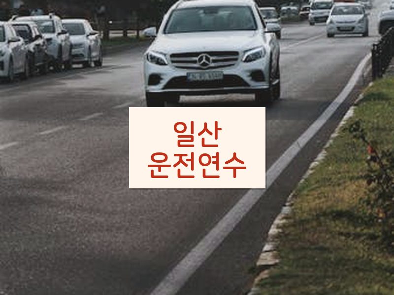 일산운전연수 후기