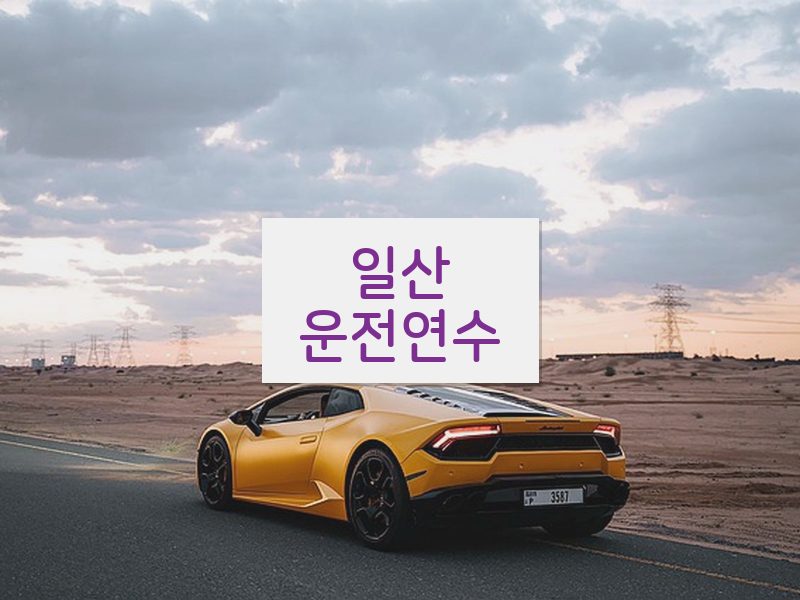 일산운전연수 후기