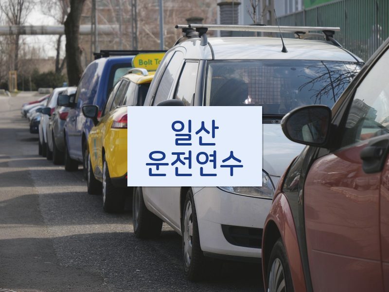 일산운전연수 후기