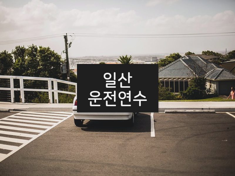 일산운전연수 후기