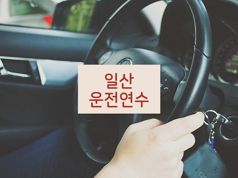 일산운전연수 후기