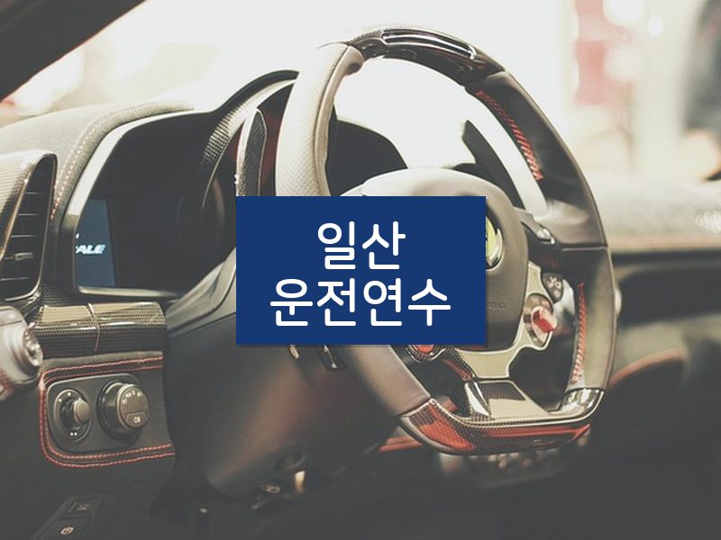 일산운전연수 후기