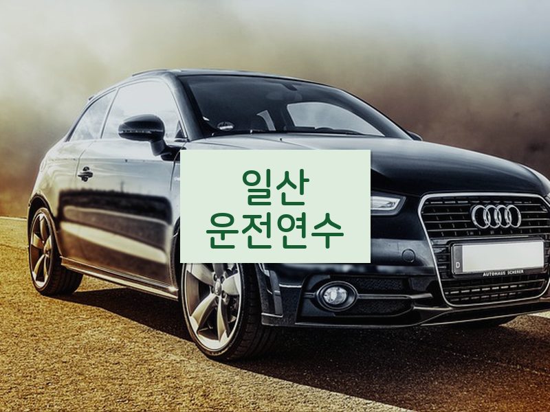 일산운전연수 후기