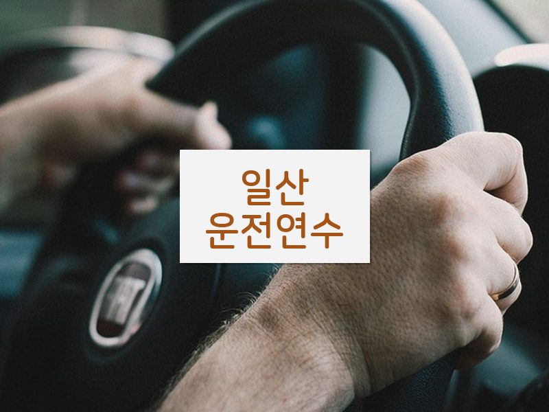 일산운전연수 후기