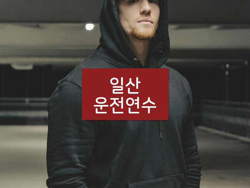일산운전연수 후기