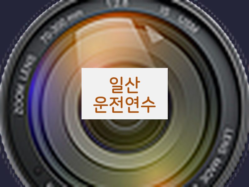 일산운전연수 후기