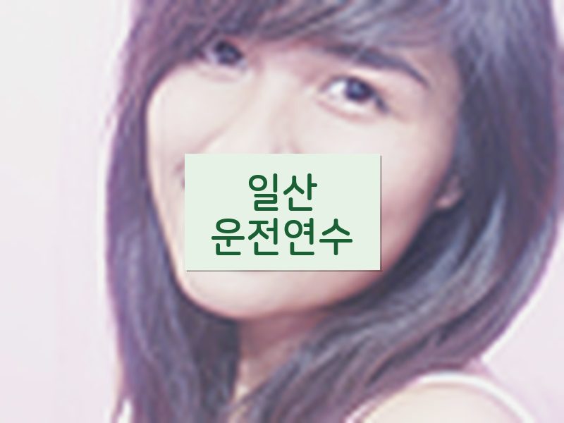 일산운전연수 후기