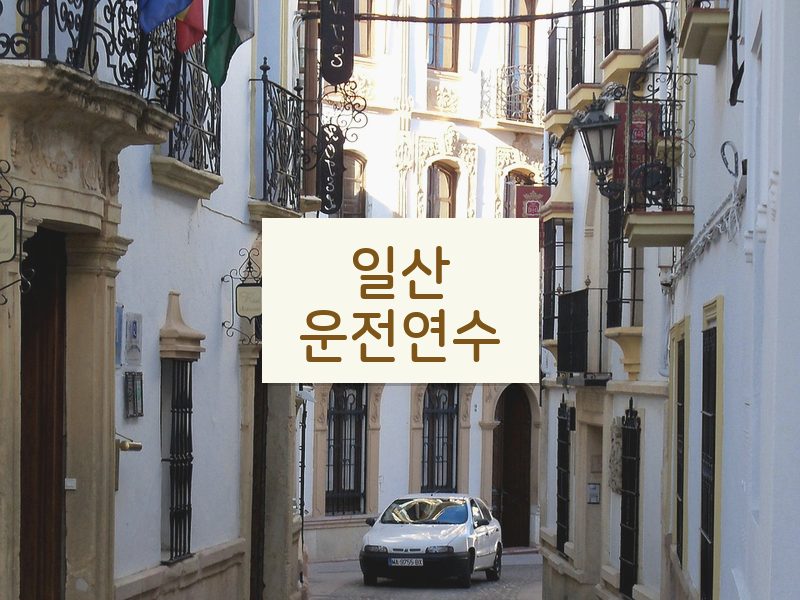 일산운전연수 후기