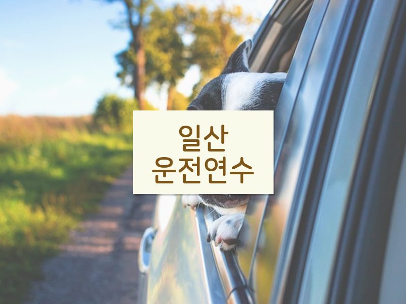 일산운전연수 후기