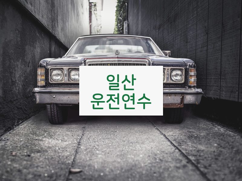 일산운전연수 후기