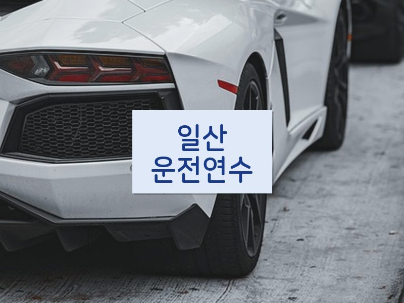일산운전연수 후기