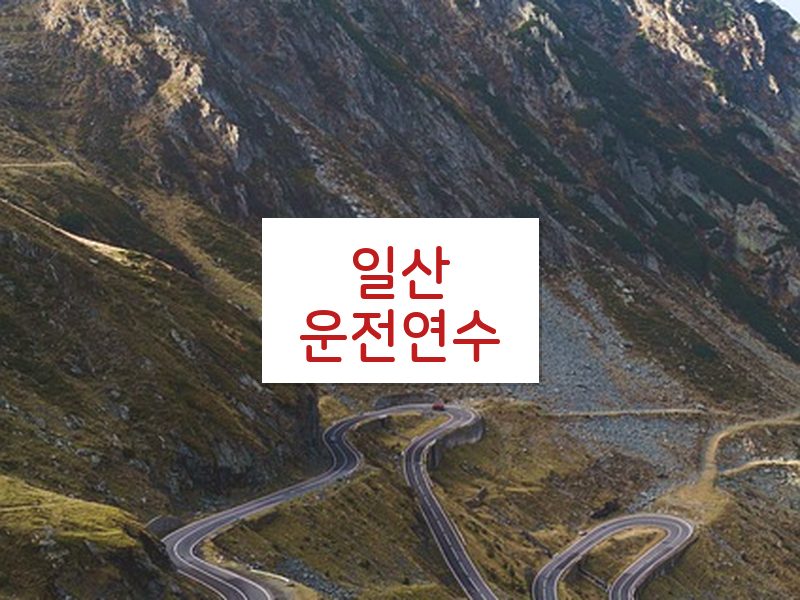 일산운전연수 후기
