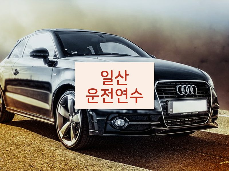 일산운전연수 후기