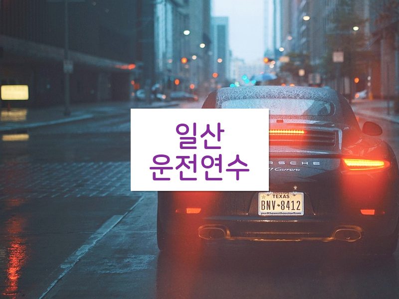 일산운전연수 후기