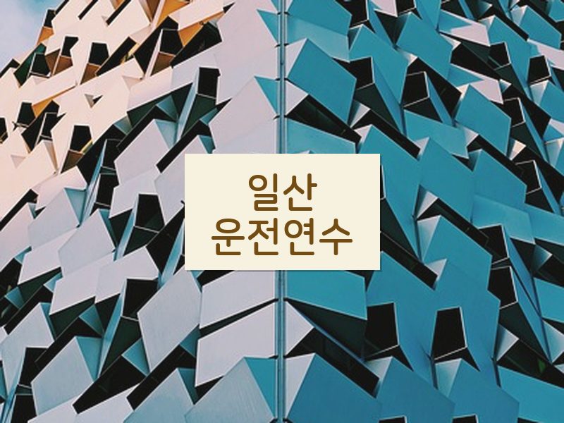 일산운전연수 후기
