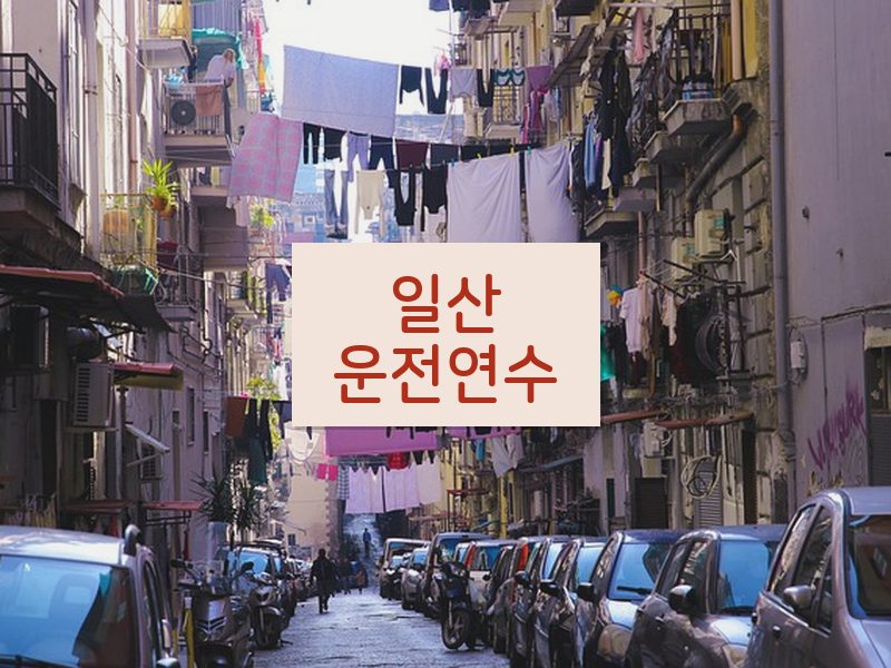 일산운전연수 후기