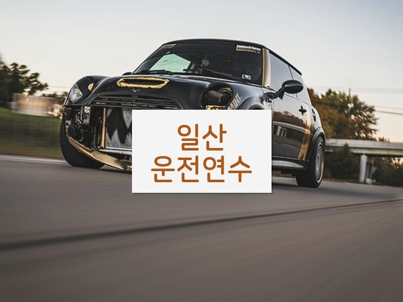 일산운전연수 후기