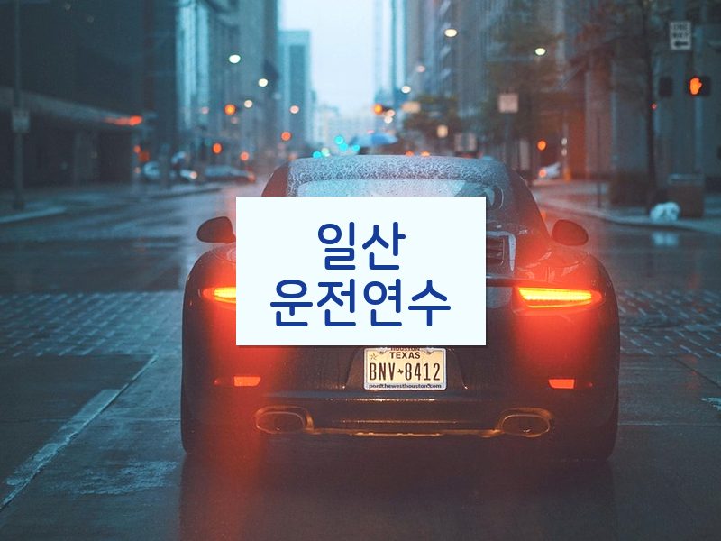 일산운전연수 후기