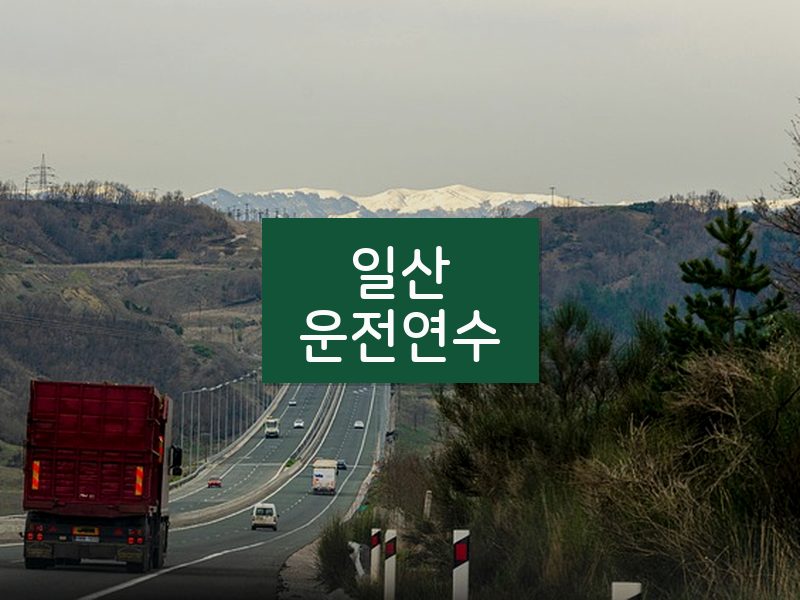 일산운전연수 후기
