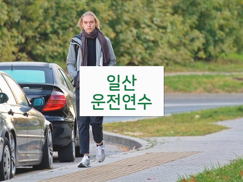 일산운전연수 후기