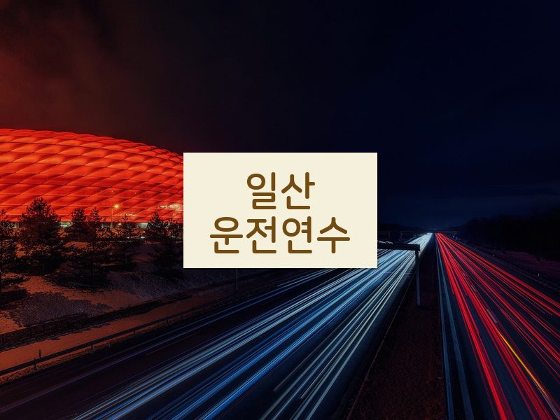 일산운전연수 후기