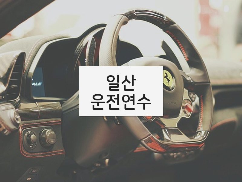 일산운전연수 후기