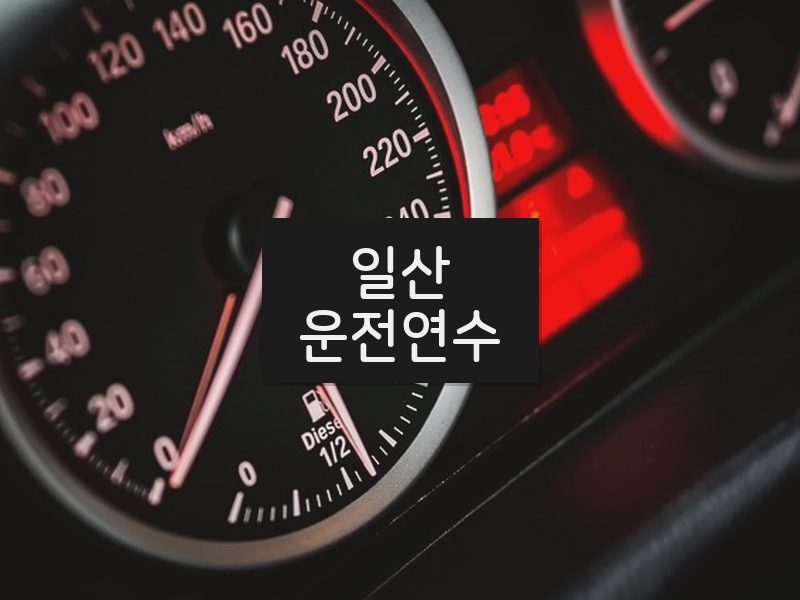 일산운전연수 후기