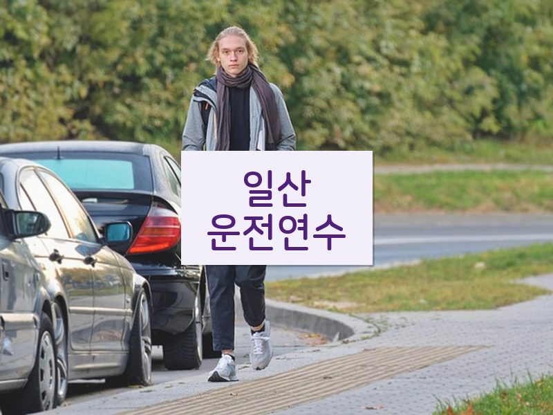 일산운전연수 후기