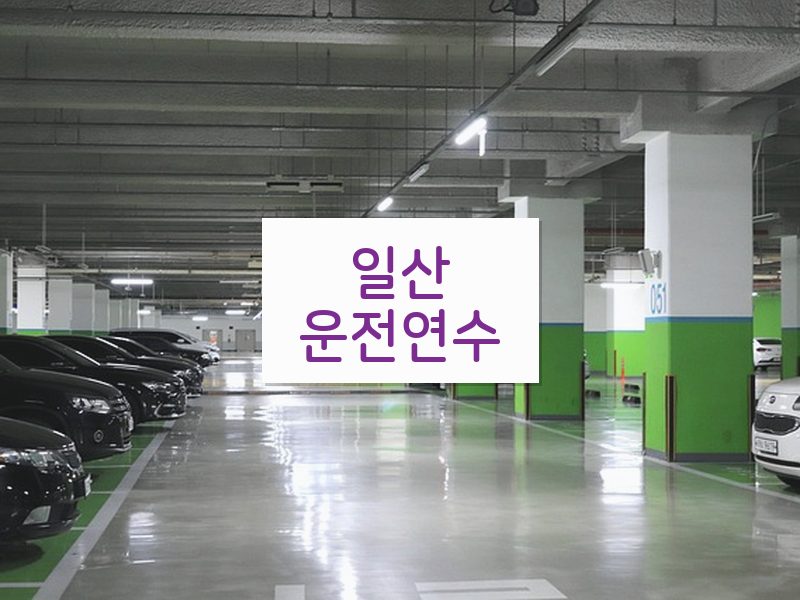 일산운전연수 후기