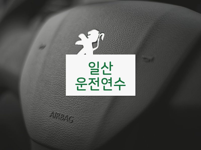 일산운전연수 후기