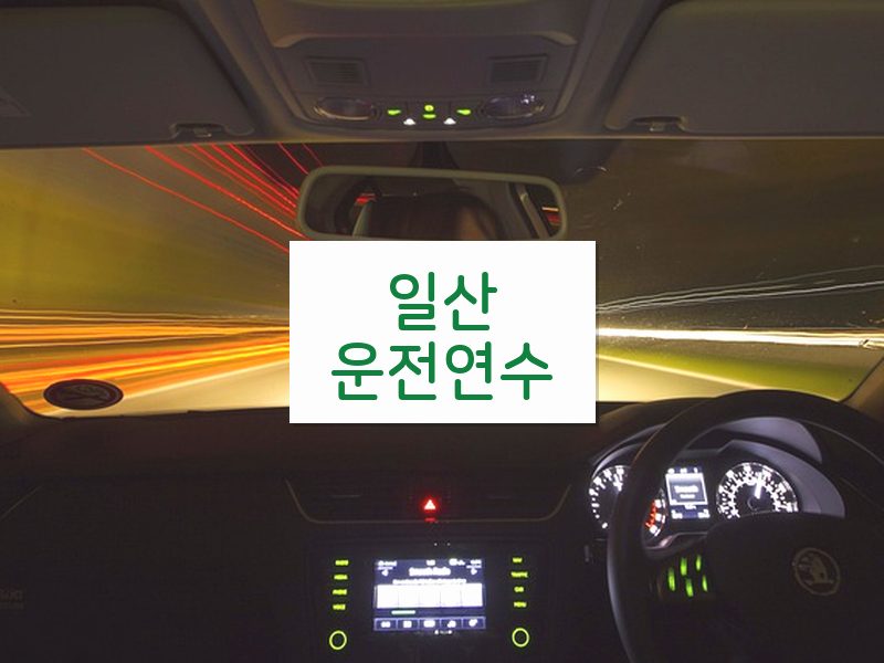 일산운전연수 후기