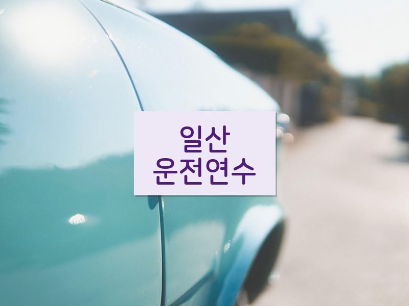 일산운전연수 후기