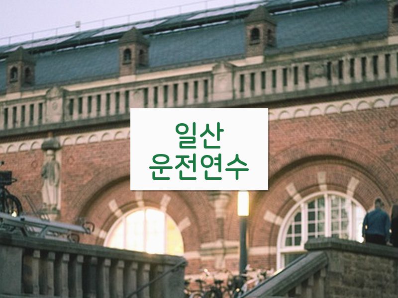 일산운전연수 후기