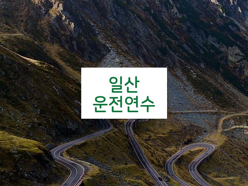 일산운전연수 후기