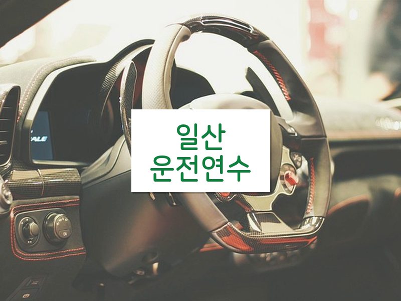 일산운전연수 후기
